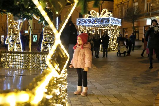 Święta tuż tuż. Choinka przed ratuszem już świeci.