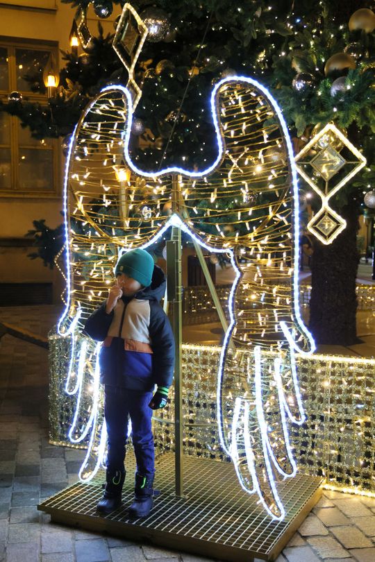 Święta tuż tuż. Choinka przed ratuszem już świeci.