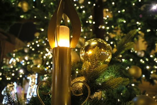 Święta tuż tuż. Choinka przed ratuszem już świeci.