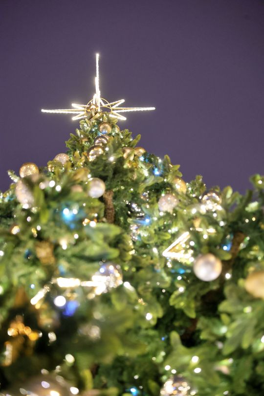 Święta tuż tuż. Choinka przed ratuszem już świeci.