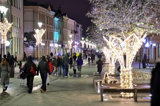 Święta tuż tuż. Choinka przed ratuszem już świeci.