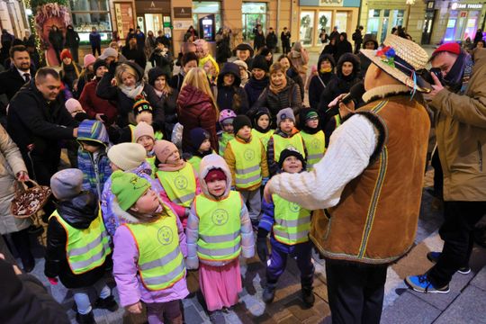 Święta tuż tuż. Choinka przed ratuszem już świeci.