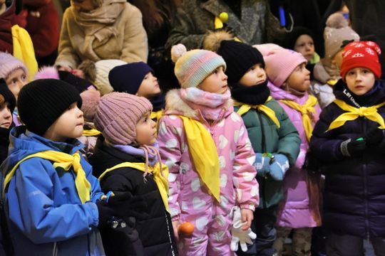 Święta tuż tuż. Choinka przed ratuszem już świeci.