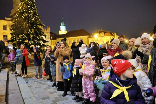 Święta tuż tuż. Choinka przed ratuszem już świeci.