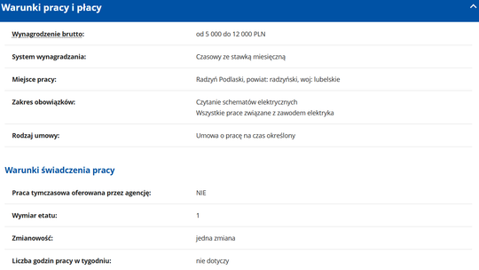 DOŚWIADCZONY ELEKTRYK Oferta pracy doświadczony elektryk