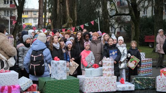 LSM ma już swoją choinkę LSM ma już swoją choinkę