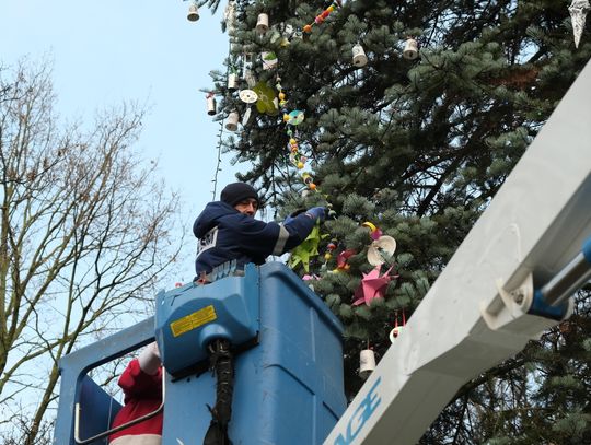 LSM ma już swoją choinkę LSM ma już swoją choinkę
