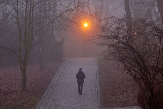 Miasto w porannej mgle. 