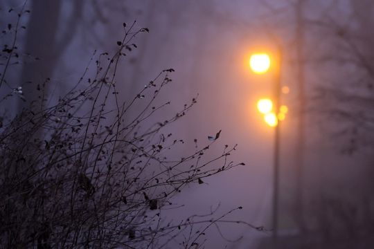 Miasto w porannej mgle. 