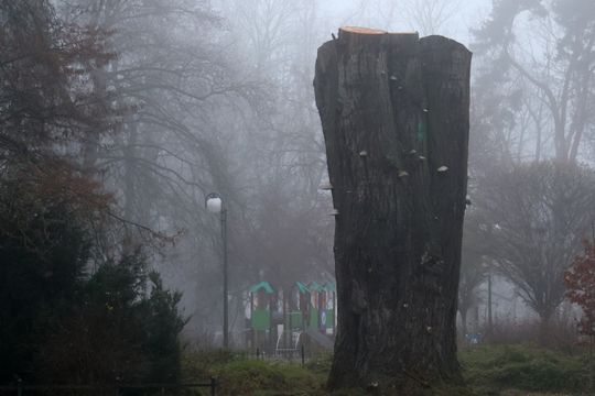 Miasto w porannej mgle. 