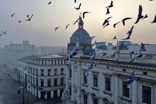 Miasto w porannej mgle. 