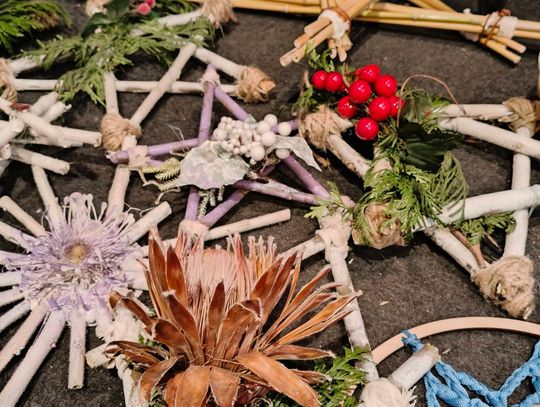 Ekologiczna choinka na Sławinku