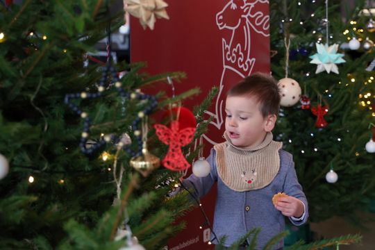 Wigilia dla ubogich i bezdomnych w hali Targów Lublin.