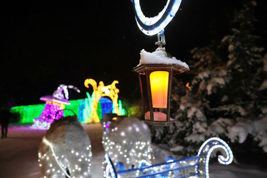 Lumina Park w zimowej odsłonie.