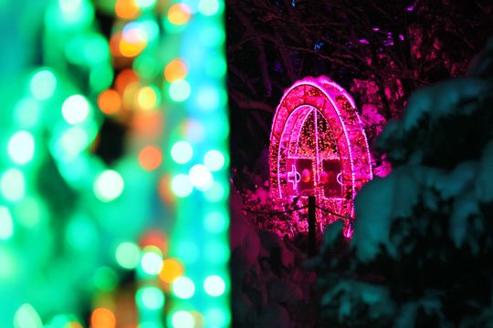 Lumina Park w zimowej odsłonie.