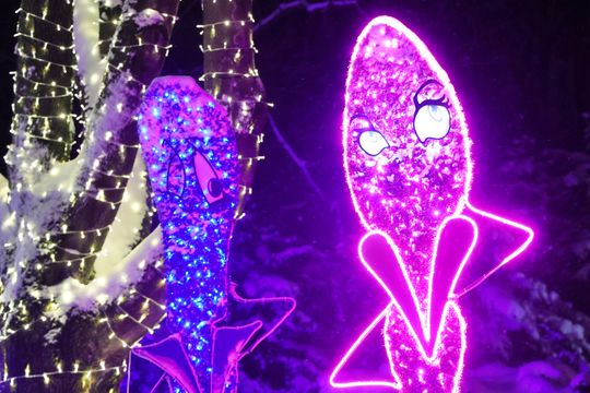 Lumina Park w zimowej odsłonie.