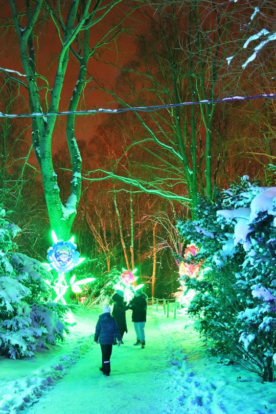 Lumina Park w zimowej odsłonie.