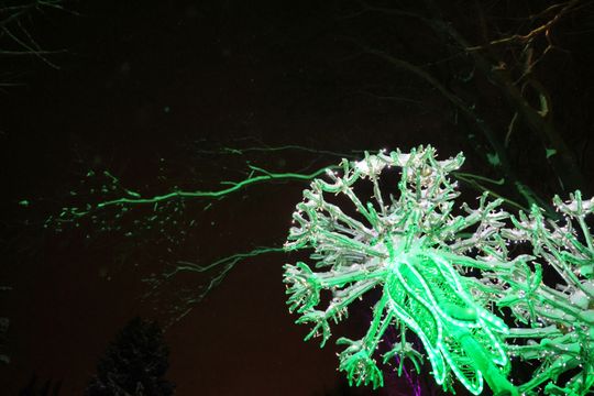 Lumina Park w zimowej odsłonie.