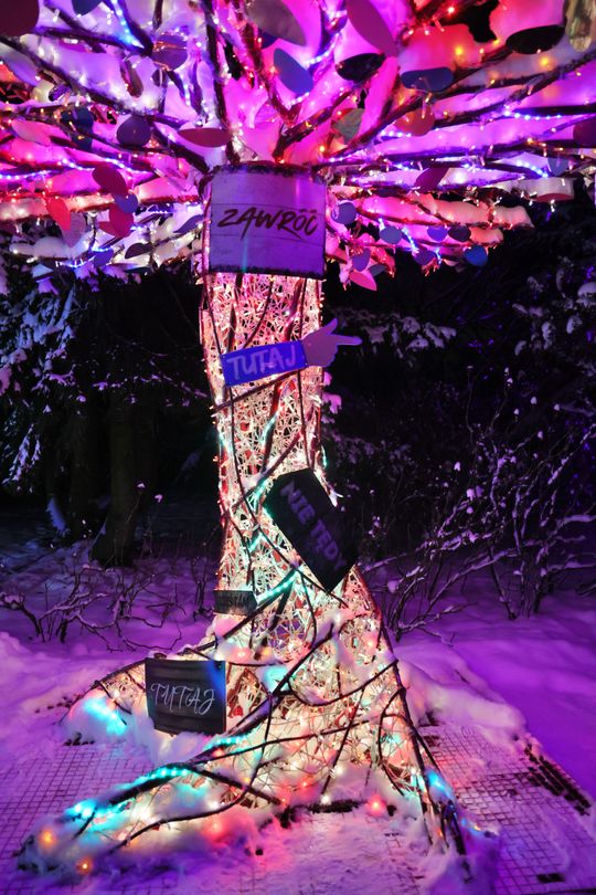 Lumina Park w zimowej odsłonie.