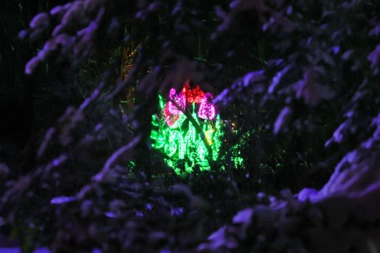 Lumina Park w zimowej odsłonie.