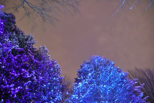 Lumina Park w zimowej odsłonie.