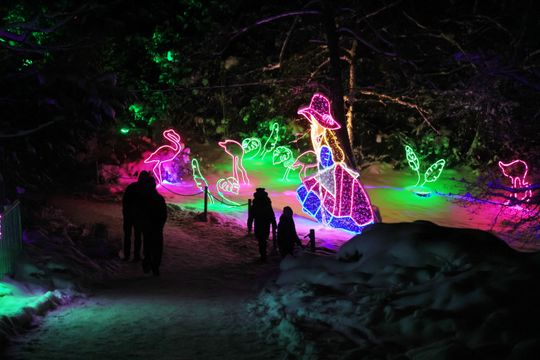 Lumina Park w zimowej odsłonie.