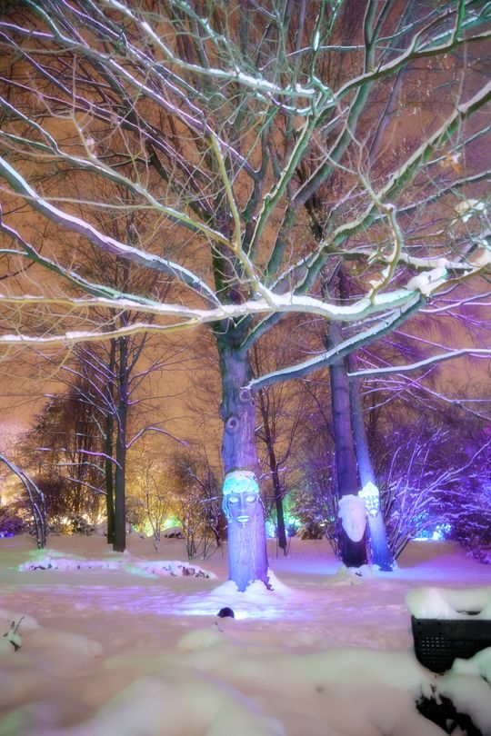 Lumina Park w zimowej odsłonie.