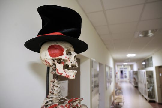 Noc biologów na UMCS.