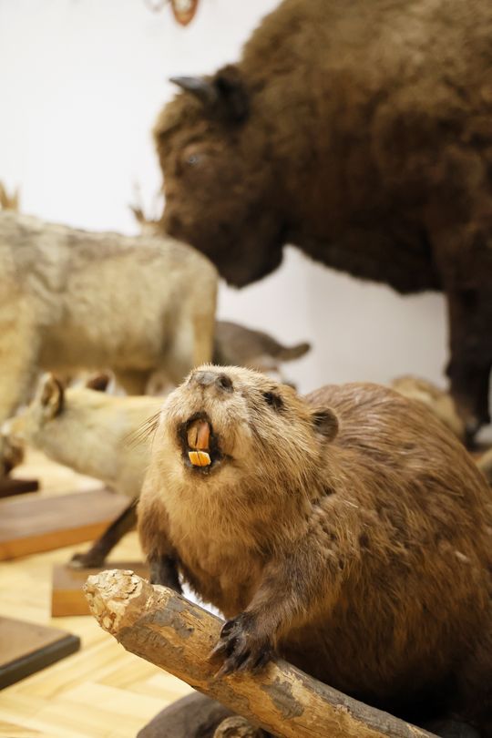 Noc biologów na UMCS.