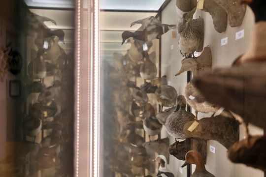 Noc biologów na UMCS.