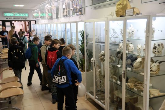 Noc biologów na UMCS.