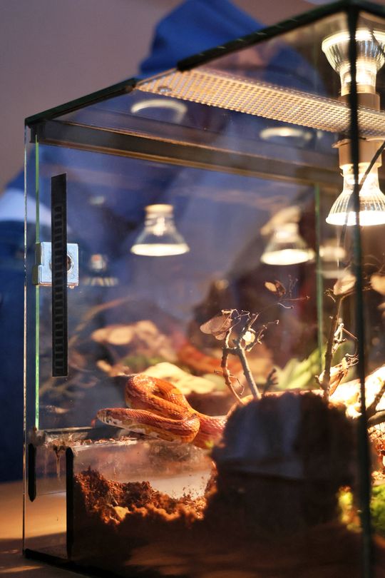 Noc biologów na UMCS.