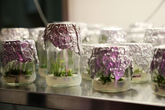 Noc biologów na UMCS.