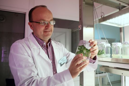 Noc biologów na UMCS.