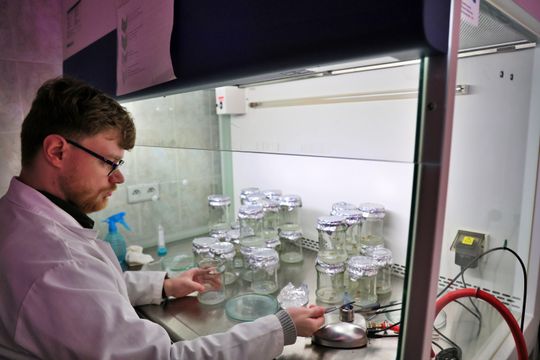 Noc biologów na UMCS.