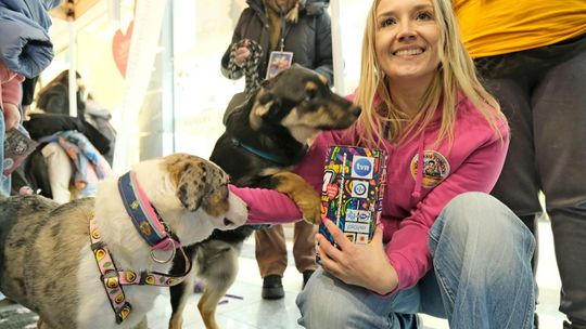 34. finał WOŚP w lubelskiej galerii Olimp