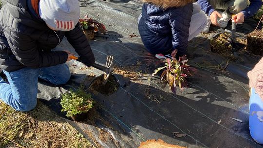 Ogród sensoryczny w Tomaszowicach