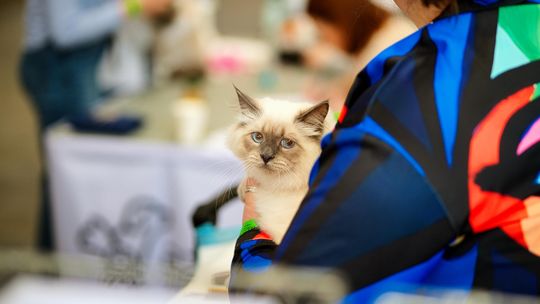 Zoopark 2026 na Targach Lublin