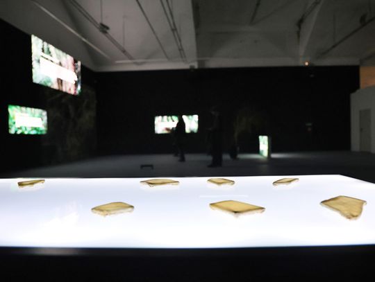 W hali galerii obejrzymy minimalistyczną wystawę Ukraińskiego artysty Pavlo Kovacha - „Hoc est corpus meum”. W hali galerii obejrzymy minimalistyczną wystawę Ukraińskiego artysty Pavlo Kovacha - „Hoc est corpus meum”.