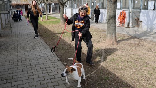 Dzień otwarty w schronisku dla zwierząt w Lublinie.