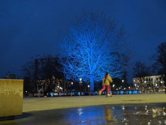 Lubelskie Dni Autyzmu: Baobab i kładka nad Bystrzycą podświetlone na niebiesko