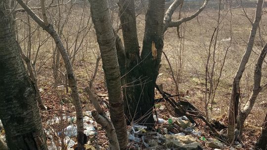 Nielegalne wysypisko śmieci na Felinie
