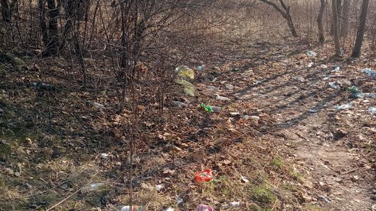 Nielegalne wysypisko śmieci na Felinie