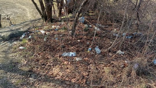 Nielegalne wysypisko śmieci na Felinie