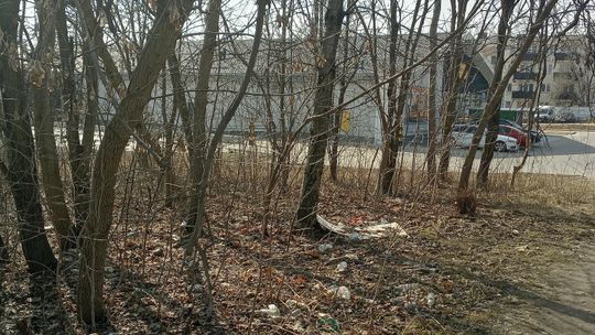 Nielegalne wysypisko śmieci na Felinie