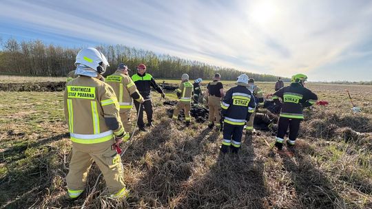 Konie uwięzione w bagnie w Stulnie 