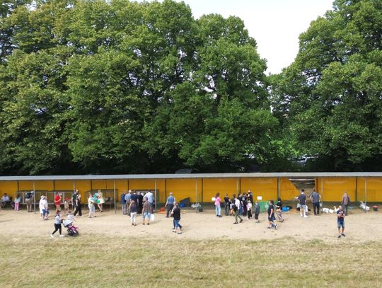 Rolnicza wystawa w Sitnie pod Zamościem. Zwierzęta hodowlane maszyny rolniczy i  wiele innych atrakcji.