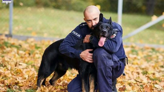 Czort pies policjant 