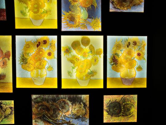 Van Gogh - The Immersive Exhibition