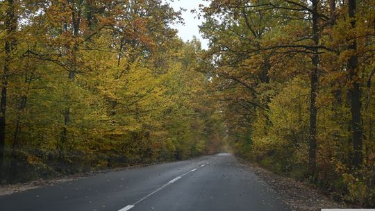 Toruń Krasnystaw droga 